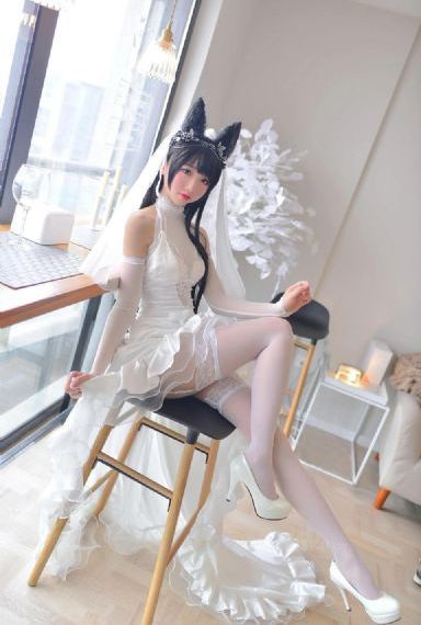 情圣囧瑟夫_蓝光动漫在线观看
